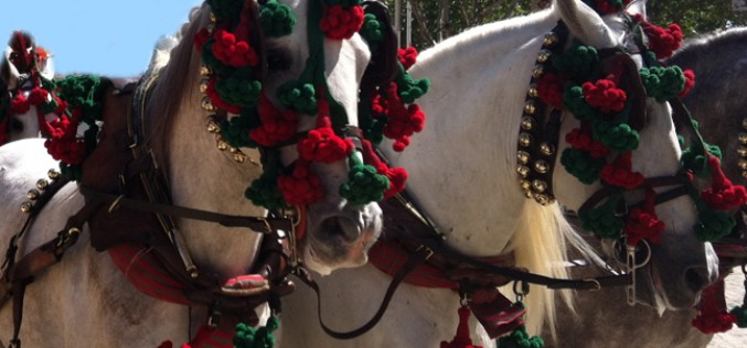Feria del Caballo de Jerez 2012