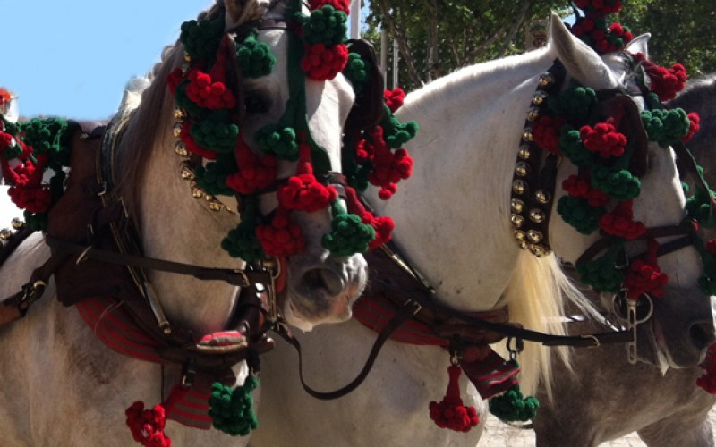 Feria del Caballo de Jerez 2012