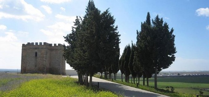 Yacimiento arqueológico de Doña Blanca de El Puerto de Santa María (Cádiz)