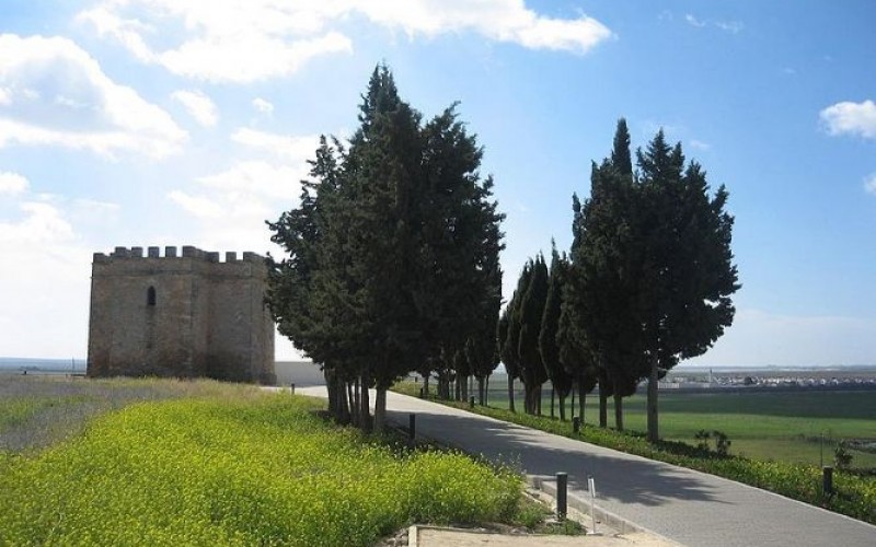 Yacimiento arqueológico de Doña Blanca de El Puerto de Santa María (Cádiz)