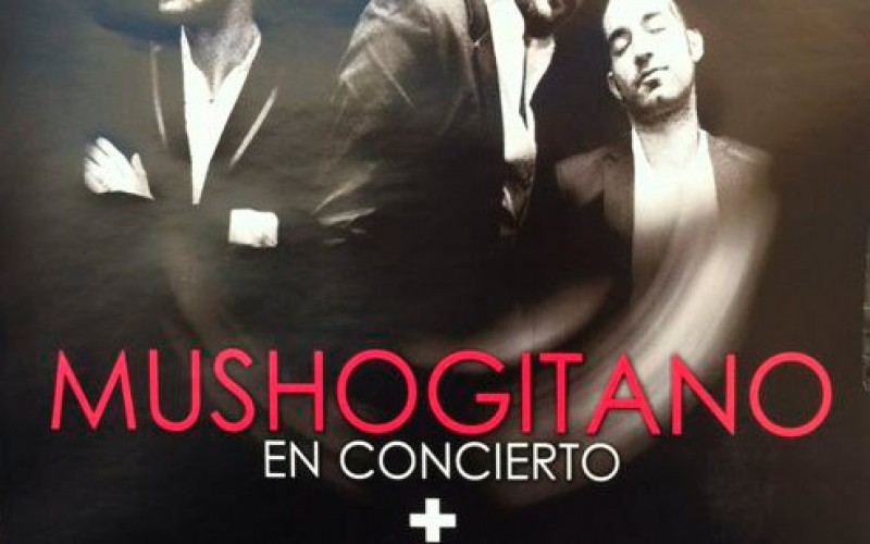 Mushogitano en Concierto