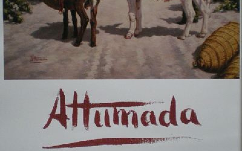 Exposiciones en Sanlúcar de Barrameda